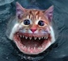 Kozmo's Avatar